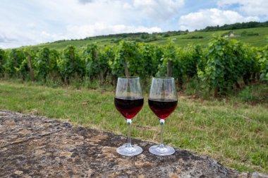 Tasting of red pinot noir wine on grand cru vineyards with cross and stone walls in Cote de nuits, making of famous red and white Burgundy wine in Burgundy region, Vosne-Romanee village, France clipart