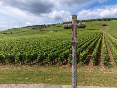Cote de nuits 'de haçlı ve sıralı Pinot üzümlü yeşil Grand Cru ve başlıca cru üzüm bağları Vosne-Romanee köyü yakınlarındaki Burgundy bölgesinde ünlü kırmızı ve beyaz Burgundy şarabı üretiyor.