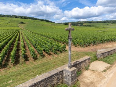 Cote de nuits 'de haçlı ve sıralı Pinot üzümlü yeşil Grand Cru ve başlıca cru üzüm bağları Vosne-Romanee köyü yakınlarındaki Burgundy bölgesinde ünlü kırmızı ve beyaz Burgundy şarabı üretiyor.