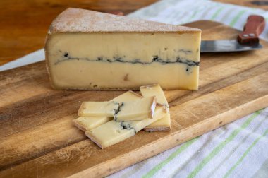 Peynir koleksiyonu, Fransız Morbier yarı yumuşak inek sütlü peynir ve siyah kül tabakası.