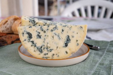 Peynir koleksiyonu, bir parça Fransız peyniri Auvergne ya da dört tane d 'Ambert yakın çekim..