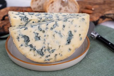 Cheese collection, piece of French blue cheese auvergne or fourme d'ambert close up. clipart