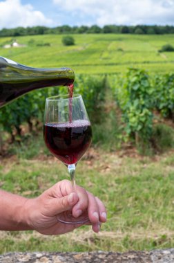 Drinking of red pinot noir wine on grand cru vineyards with cross and stone walls in Cote de nuits, making of famous red and white Burgundy wine in Burgundy region, Vosne-Romanee village, France clipart