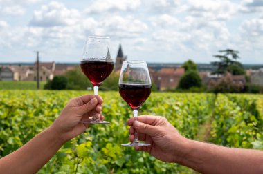 Drinking of red pinot noir wine on grand cru vineyards with cross and stone walls in Cote de nuits, making of famous red and white Burgundy wine in Burgundy region, Vosne-Romanee village, France clipart