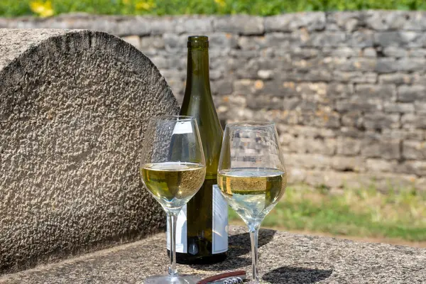 stock image Tasting of high quality white dry rare wine made from Chardonnay grapes on grand cru classe vineyards near Puligny-Montrachet village, Burgundy, France