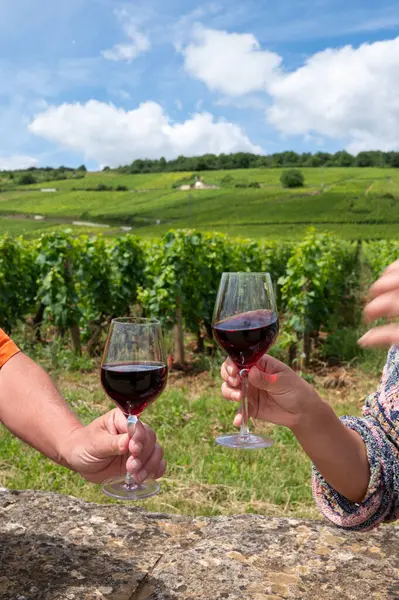 stock image Drinking of red pinot noir wine on grand cru vineyards with cross and stone walls in Cote de nuits, making of famous red and white Burgundy wine in Burgundy region, Vosne-Romanee village, France