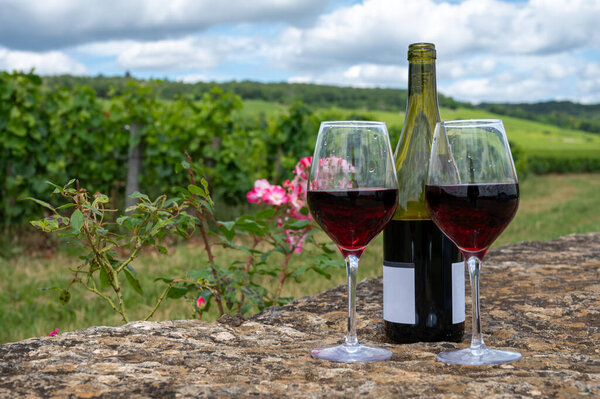 Дегустация красного вина Пино Нуар на виноградниках с крестом и каменными стенами в Кот-де-Нуит, изготовление знаменитого красного и белого бургундского вина в Бургундском районе, Vosne-Romanee village, Франция