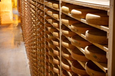 Peynir mağaralarında rafları olan yaşlanan odalar, tekerleklerin yaşlanmasının merkezi konumu, dört aydan birkaç yıla kadar ham inek sütünden yapılan Comte peyniri turları, Jura, Fransa