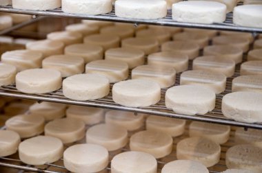 Rocamadour yumuşak keçi peyniri, Perigord 'daki çiftlikte üretilen yaşlanma sürecinde yumuşak kabuklu AOC peyniri ve Quercy adını Fransa' nın ayrılan Lot kentindeki Rocamadour köyünden aldı.