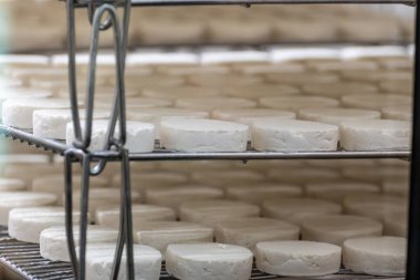 Rocamadour yumuşak keçi peyniri, Perigord 'daki çiftlikte üretilen yaşlanma sürecinde yumuşak kabuklu AOC peyniri ve Quercy adını Fransa' nın ayrılan Lot kentindeki Rocamadour köyünden aldı.