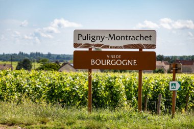 Green vineyards around Puligny-Montrachet village, wine of Burgundy road sign, France. High quality white dry wine making from Chardonnay grapes on grand cru classe vineyards clipart