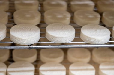 Rocamadour yumuşak keçi peyniri, Perigord 'daki çiftlikte üretilen yaşlanma sürecinde yumuşak kabuklu AOC peyniri ve Quercy adını Fransa' nın ayrılan Lot kentindeki Rocamadour köyünden aldı.