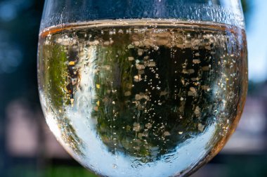 Bir sürü köpüklü Fransız şampanyası, köpüklü altın köpükler, İspanyol kava şarabıyla parti.