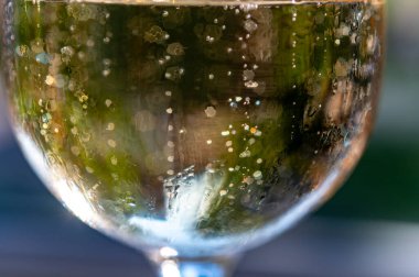 Bir sürü köpüklü Fransız şampanyası, köpüklü altın köpükler, İspanyol kava şarabıyla parti.