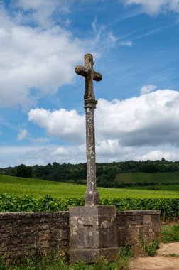 Green grand cru and premier cru vineyards with cross and rows of pinot noir grapes plants in Cote de nuits, making of famous red and white Burgundy wine in Burgundy region, near Vosne-Romanee village clipart