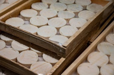 Perigord ve Quercy 'deki çiftlikte üretilen yumuşak kabuklu kauçuk yumuşak keçi peyniri, Fransa' da ayrılan Lot.