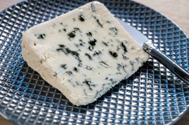 Fransız Rokfor peyniri, Fransa 'nın Rokfor-sur-Soulzon mağaralarındaki koyun sütünden yapılmıştır.