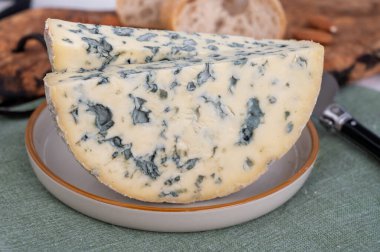 Peynir koleksiyonu, bir parça Fransız peyniri Auvergne ya da dört tane d 'Ambert yakın çekim..