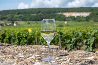 Tasting of high quality white dry rare wine made from Chardonnay grapes on grand cru classe vineyards near Puligny-Montrachet village, Burgundy, France clipart