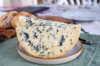 Peynir koleksiyonu, bir parça Fransız peyniri Auvergne ya da dört tane d 'Ambert yakın çekim..