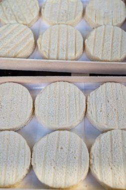 Perigord ve Quercy 'deki çiftlikte üretilen yumuşak kabuklu kauçuk yumuşak keçi peyniri, Fransa' da ayrılan Lot.