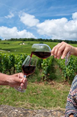 Cote de nuits 'de haç ve taş duvarları olan Grand Cru üzüm bağlarında kırmızı Pinot şarabı içmek, Burgundy bölgesinde ünlü kırmızı ve beyaz Burgundy şarabı yapmak, Vosne-Romanee köyü, Fransa