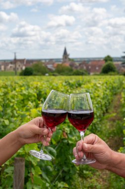 Cote de nuits 'de haç ve taş duvarları olan Grand Cru üzüm bağlarında kırmızı Pinot şarabı içmek, Burgundy bölgesinde ünlü kırmızı ve beyaz Burgundy şarabı yapmak, Vosne-Romanee köyü, Fransa