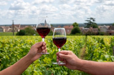 Cote de nuits 'de haç ve taş duvarları olan Grand Cru üzüm bağlarında kırmızı Pinot şarabı içmek, Burgundy bölgesinde ünlü kırmızı ve beyaz Burgundy şarabı yapmak, Vosne-Romanee köyü, Fransa