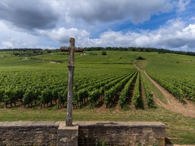 Cote de nuits 'de haçlı ve sıralı Pinot üzümlü yeşil Grand Cru ve başlıca cru üzüm bağları Vosne-Romanee köyü yakınlarındaki Burgundy bölgesinde ünlü kırmızı ve beyaz Burgundy şarabı üretiyor.