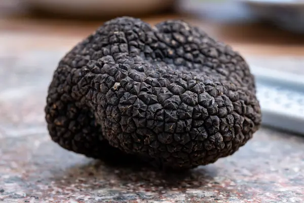 stock image Delicious mushrooms, fresh black summer truffle mushroom from Italy and grater for making truffle dishes with tasty aroma