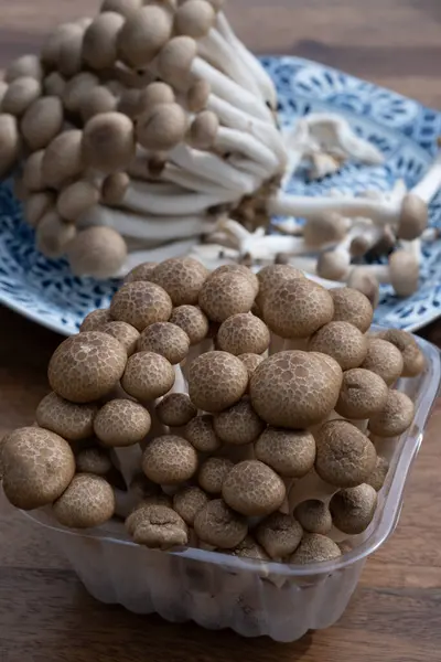 stock image Fresh brown shimeji edible mushrooms native to East Asia, buna-shimeji is widely cultivated and rich in umami tasting compounds