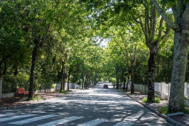 Güneşli Arcachon 'da yürümek, Atlantik kıyısındaki tatil beldesi güzel parklar, villalar, sokaklar ve kumlu plajlar ve çam ağaçları, Fransa
