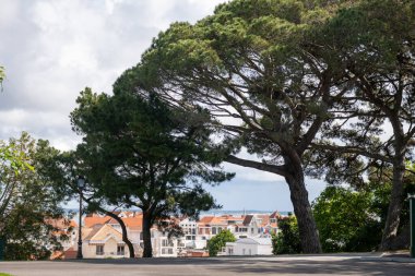 Güneşli Arcachon 'da yürümek, Atlantik kıyısındaki tatil beldesi güzel parklar, villalar, sokaklar ve kumlu plajlar ve çam ağaçları, Fransa