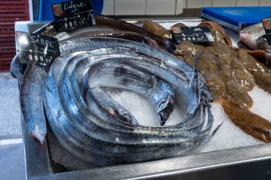 Brittany, Fransa 'daki günlük balık pazarında günlük taze balık avı çeşitleri, İngilizce çevirisi: farklı Fransızca balık isimleri