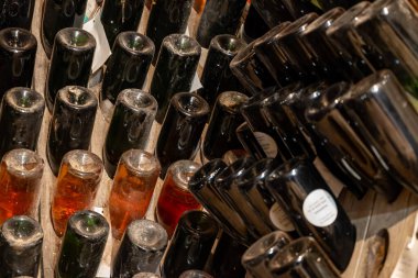 Grand Cru şarap üreticisi Cramant, Champagne, Fransa 'daki eski şampanya mağaralarını ziyaret edeceğiz. Pupitre bulmaca raflarında tozlu şampanya şişeleri