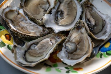 Plate with fresh live raw oysters seashells with citron, bread, butter and white wine served at restaurant in oyster-farming village, Arcachon bay, Gujan-Mestras port, France clipart