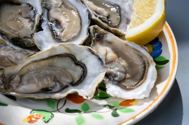 Fransa 'nın Gujan-Mestras limanındaki Arcachon körfezi istiridye çiftliği köyündeki restoranda taze çiğ istiridye kabukları, ekmek, tereyağı ve beyaz şarapla servis edilen tabaklar.