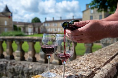 Glasses of french dry red wine in old wine domain on Graves vineyards in Portets village and old wine making castle on background, Bordeaux, France clipart