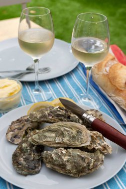 Fransa 'nın Gujan-Mestras limanındaki Arcachon körfezi istiridye çiftliği köyündeki restoranda taze çiğ istiridye kabukları, ekmek, tereyağı ve beyaz şarapla servis edilen tabaklar.