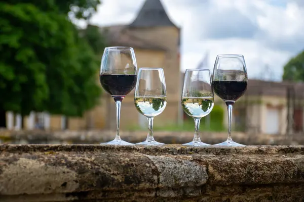 stock image Glasses of white and red dry wine in old wine domain on Graves vineyards in Portets village and old castle on background, Bordeaux, France