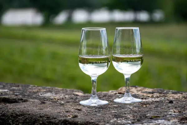 stock image Tasing glasses of white wine in old wine domain on Sauternes vineyards in Barsac village and old castle on background, Bordeaux, France