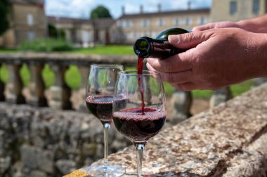 Glasses of french dry red wine in old wine domain on Graves vineyards in Portets village and old wine making castle on background, Bordeaux, France clipart