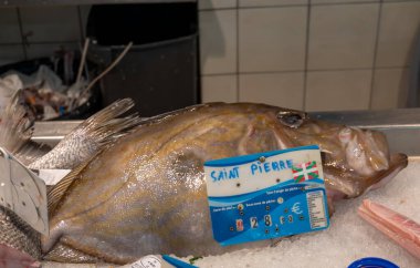 En lezzetli balık John Dory, St Pierre ya da Peter 'ın buzdaki balığı, balık pazarında günün avı, Bask Ülkesi, Fransa, kapatın.