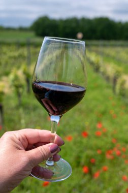 Tasting of red Cahors wine on vineyard, summer in Cahors wine making region in France, weekend background, glass of french wine clipart