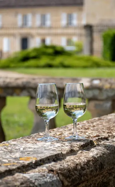 stock image Tasing glasses of white wine in old wine domain on Sauternes vineyards in Barsac village and old castle on background, Bordeaux, France