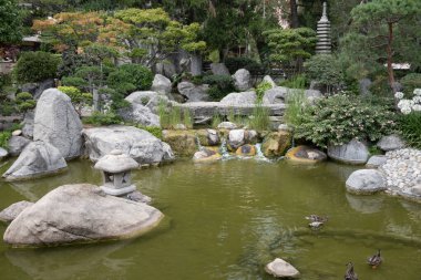 Peyzaj şehir tasarımı, Japonya 'da taşlarla, bonsai çam ağaçları, çiçekler, küçük köprüler, Monte-Carlo şehrinin merkezine su dökülüyor.