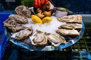 Arcachon körfezi, Gujan-Mestras, Bordeaux, Fransa 'daki istiridye çiftliği köyünden öğle yemeği için pazar salonunda buzlu taze canlı istiridye tabağı.