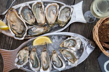 Güneşli bir günde, Arcachon Bassin, Gujan-Mestras limanı, Bordeaux, Fransa 'da, istiridye sayısı 0 olan istiridye çiftçilik köyündeki açık hava kafesinde taze canlı istiridye ve ekmek yemek..