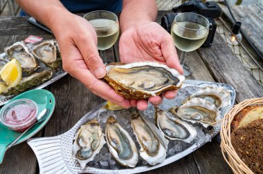Güneşli bir günde, Arcachon Bassin, Gujan-Mestras limanı, Bordeaux, Fransa 'da, istiridye sayısı 0 olan istiridye çiftçilik köyündeki açık hava kafesinde taze canlı istiridye ve ekmek yemek..