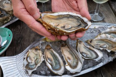 Güneşli bir günde, Arcachon Bassin, Gujan-Mestras limanı, Bordeaux, Fransa 'da, istiridye sayısı 0 olan istiridye çiftçilik köyündeki açık hava kafesinde taze canlı istiridye ve ekmek yemek..